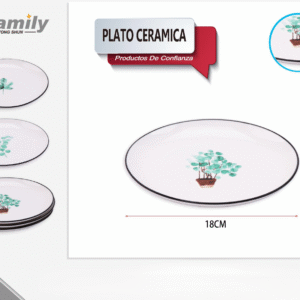 Plato Ceramica 18*2Cm