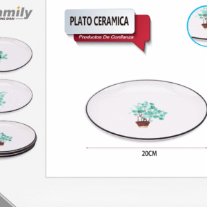 Plato Ceramica 20*2.2Cm