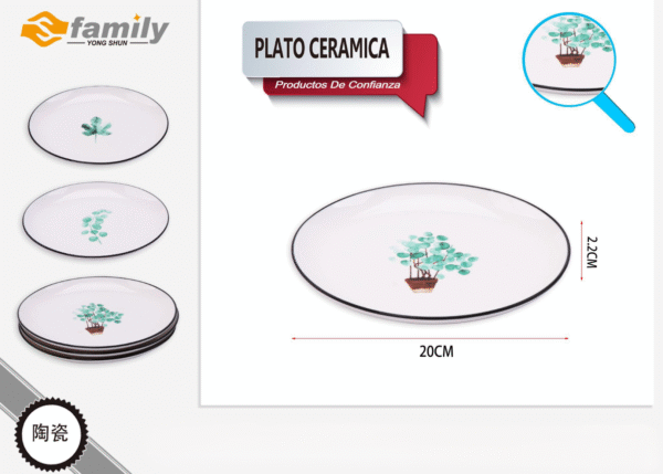 Plato Ceramica 20*2.2Cm